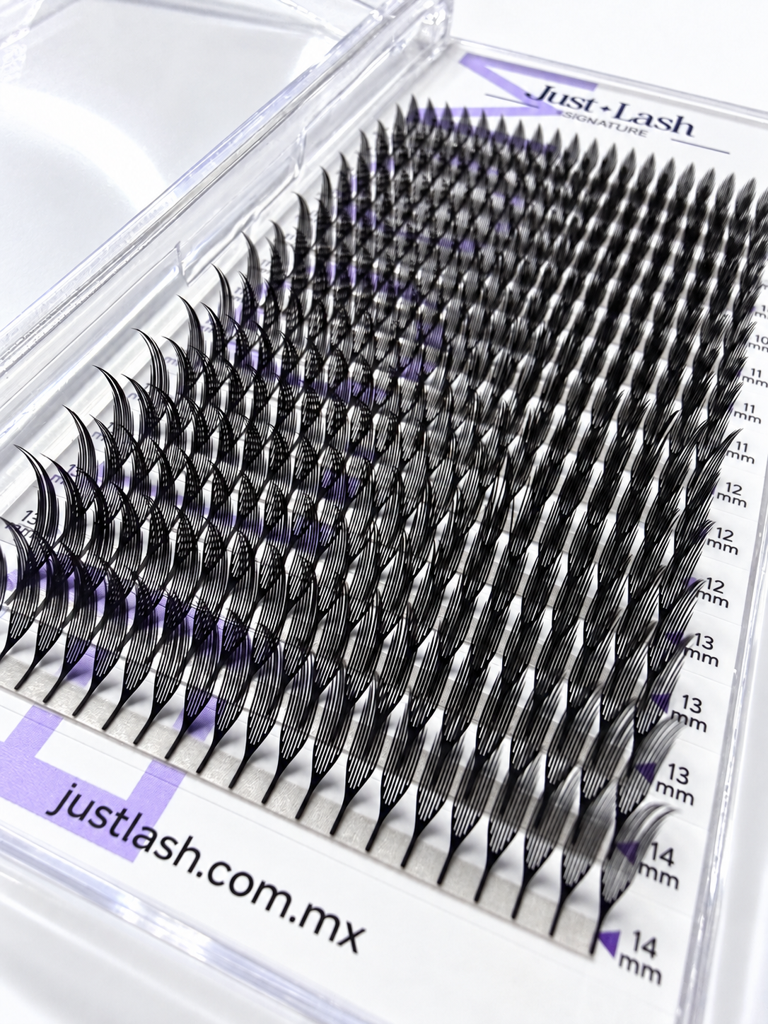 Fibras Tecnológicas Bloom JustLash Signature